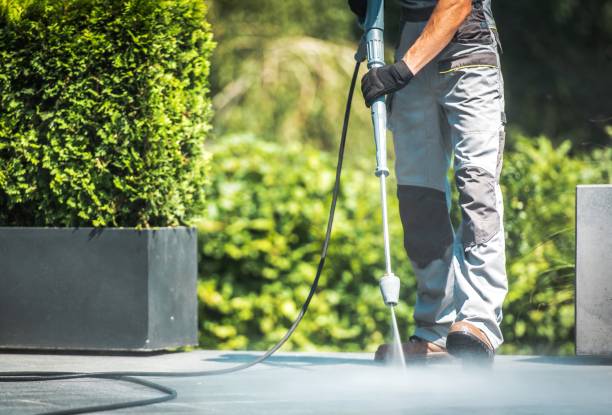 Best Driveway Cleaning and Restoration in Pamplico, SC